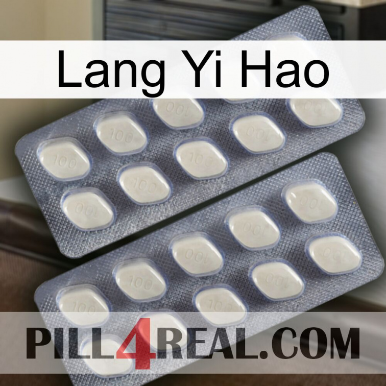 Lang Yi Hao 07